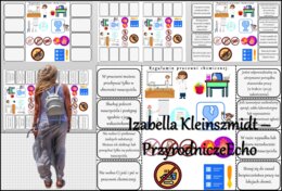 Notatka okienkowa/stacja zadaniowe/notatka interaktywna/notatka graficzna/karta pracy/sketchnotka „Zasady bezpiecznej pracy na lekcjach chemii”, „Regulamin pracowni chemicznej” w pdf. Chemia 7, dział „Substancje”. Materiał wykonany na podstawie podręczni