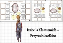 Notatka okienkowa „Budowa nasiona”, „Budowa owocu”, „Rozprzestrzenianie się roślin okrytonasiennych” w pdf. Biologia 5 dział „Różnorodność roślin”.
