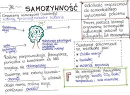 Samożywność (sketchnotka)