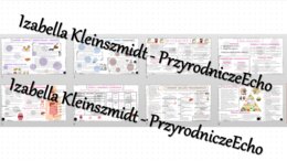 Zestaw sketchnotek – notatek do całego działu „Układ pokarmowy” wykonanych w power point do edycji. Biologia 7