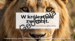 W królestwie zwierząt biologia klasa 6 prezentacja