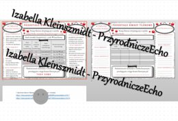 Minizestaw na temat „Inne kwasy tlenowe” – sketchnotka + karta pracy w power point + gratisowy link do prezentacji multimedialnej niekomercyjnej wykonanej w genial.ly do indywidualnego pobrania i użycia do celów niekomercyjnych. Chemia 7 lub 8, „Kwasy”