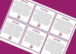 DZIENNIK - epika – cechy – wklejka