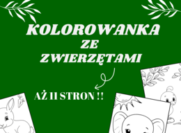 Kolorowanka Wiosenna Przygoda – 11 stron pełnych kolorowanek ze zwierzętami! 🦁🐘🎨 świetlica, godzina wychowawcza, klasy 1-3