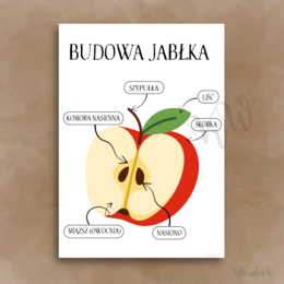 Dzień Jabłka - zestaw