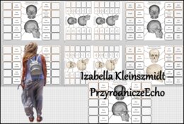 Notatka okienkowa/stacja zadaniowe/notatka interaktywna/notatka graficzna/karta pracy/sketchnotka "Budowa i rola szkieletu osiowego" „Budowa czaszki” w pdf. Biologia 7, dział „Aparat ruchu”. Materiał wykonany na podstawie podręcznika z wydawnictwa Nowa E