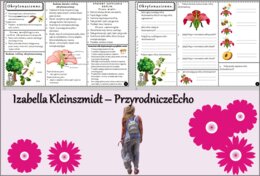 Minizestaw do tematu „Okrytonasienne” – sketchnotka + karta pracy w pdf + gratisowy link do prezentacji multimedialnej niekomercyjnej wykonanej w genial.ly do indywidualnego pobrania i użycia do celów niekomercyjnych. Biologia 5, Dział „Różnorodność rośl
