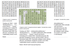 Wykreślanka dla klasy 8 na podsumowanie lekcji biologii o DNA