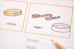 Miska, smycz, piłka – słowniczek małego opiekuna psa