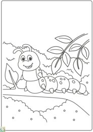 ZWIERZĘCE KOLOROWANKI