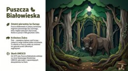 Polska, moja ojczyzna – prezentacja edukacyjna / gazetka szkolna (20 plansz)