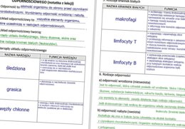 Budowa i funkcjonowanie układu odpornościowego (gotowa notatka)