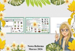 Mały zestaw na jedną lekcję: sketchnotka/notatka/przypomnienie dla nauczyciela, karta pracy plus gratisowa prezentacja multimedialna „Rośliny i zwierzęta w mojej okolicy” w pdf. Przyroda "Odkrywam przyrodę". Klasa 4. Dział „Moja okolica".