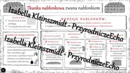 Sketchnotka - notatka „Tkanka nabłonkowa” wykonana w power point do edycji. Biologia 6; „Świat zwierząt”