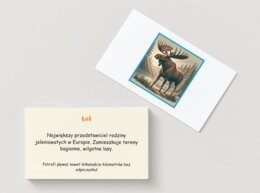 Memory z gatunkami zwierząt i roślin. Rośliny, zwierzęta, owady.