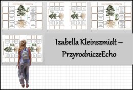 Notatki okienkowe „Budowa nagonasiennych”, „Budowa sosny pospolitej” w pdf. „Nagonasienne” w pdf. Biologia 5 dział „Różnorodność roślin”.