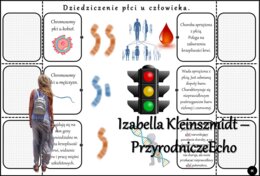 Notatka okienkowa/stacja zadaniowe/notatka/notatka graficzna/karta pracy/sketchnotka „Dziedziczenie płci u człowieka”, „Daltonizm - krzyżówki genetyczne”, „Hemofilia - krzyżówki genetyczne” , „Jak zapisać krzyżówkę genetyczną?” w pdf. Biologia 8 dział „G