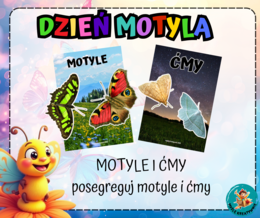 DZIEŃ MOTYLA - PREZENTACJA + PAKIET MATERIAŁÓW