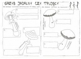 Jak odróżnić grzyb jadalny od trującego? - klasa 5
