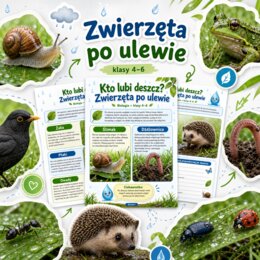 Kto lubi deszcz? Zwierzęta po ulewie