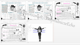 Mini zestaw do tematu „Jak poznawać przyrodę?”– 2 x sketchnotka + 2 x karta pracy + gratisowy link do prezentacji multimedialnej niekomercyjnej wykonanej w genial.ly do indywidualnego pobrania i użycia do celów niekomercyjnych. Przyroda 4, dział I „Pozna