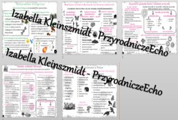 Zestaw sketchnotek – notatek do całego działu „Człowiek i środowisko” wykonanych w power point do edycji. Biologia 8