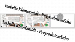 Minizestaw na temat „Zlodowacenia na obszarze Polski” – sketchnotka + karta pracy w power point + gratisowy link do prezentacji multimedialnej niekomercyjnej wykonanej w genial.ly do indywidualnego pobrania i użycia do celów niekomercyjnych. Geografia 7,