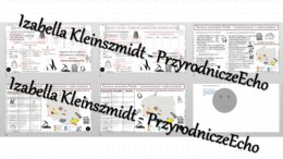 Minizestaw na temat „Skały i surowce mineralne” – sketchnotka + karta pracy w power point + gratisowy link do prezentacji multimedialnej niekomercyjnej wykonanej w genial.ly do indywidualnego pobrania i użycia do celów niekomercyjnych. Geografia 7, „Środ