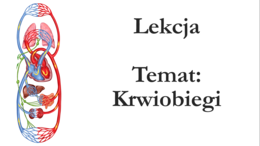 Klasa 7 - Krwiobiegi - prezentacja