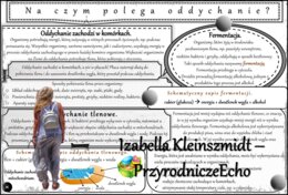 Sketchnotka/notatka/streszczenie/wklejka/ściąga dla ucznia i nauczyciela. Temat „Na czym polega oddychanie?” w pdf. Biologia 5 dział „Organizacja i chemizacja życia”. Wykonana na podstawie podręcznika z wydawnictwa WSiP.