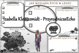 Karta pracy „Jak wygląda życie w lesie?” wykonana w power point do edycji. Przyroda 4, „Środowisko życia organizmów” na podstawie wydawnictwa WSiP