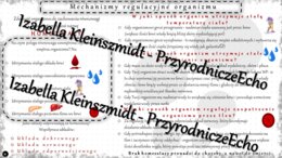 Sketchnotka - notatka „Równowaga wewnętrzna organizmu-homeostaza” wykonana w power point do edycji. Biologia 7; „Równowaga wewnętrzna organizmu”