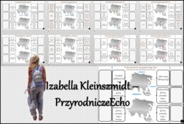Notatka okienkowa/stacja zadaniowe/notatka interaktywna/notatka graficzna/karta pracy/sketchnotka „Środowisko przyrodnicze Azji”, „Kontrasty Azji” w pdf. Geografia 8 , dział „Azja”. Materiał wykonany na podstawie podręcznika z wydawnictwa Nowa Era – nowo
