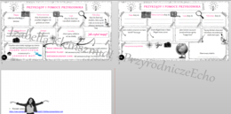 Zestaw na jedną lekcję „Przyrządy i pomoce przyrodnika” – sketchnotka + karta pracy w power point + gratisowy link do prezentacji multimedialnej niekomercyjnej wykonanej w genial.ly do indywidualnego pobrania i użycia do celów niekomercyjnych. Przyroda 4