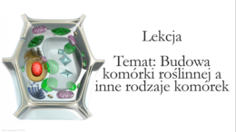Klasa 5 - Budowa komórki roślinnej, bakteryjnej, grzybowej - prezentacja