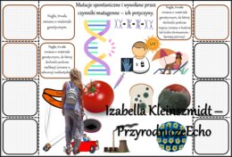 Notatka okienkowa/stacja zadaniowe/notatka/notatka graficzna/karta pracy/sketchnotka „Mutacje”, „Przyczyny chorób nowotworowych”, „Przyczyny mutacji”, „Krzyżówka genetyczna – mukowiscydoza” w pdf. Biologia 8 dział „Genetyka”. Materiał wykonany na podstaw