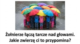 Historia 4 - Imperium rzymskie - rozdział 15.1-  GWO 26/27