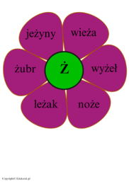 Zestaw "Jesienna ortografia" - dekoracja