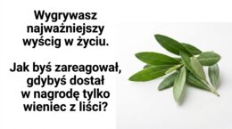 Historia 4 - Igrzyska olimpijskie- rozdział 14.1-  GWO 26/27