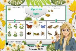 Karta pracy z przyrody do klasy 4 "Życie w lesie". Przygotowana na podstawie podręcznika „Odkrywam przyrodę” wydawnictwa Nowa Era. Dział "Życie na lądzie".