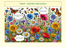 Plansze edukacyjne „Ekologia w szkole”