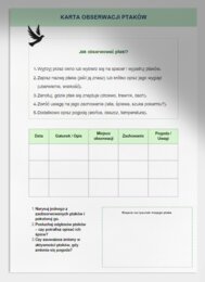 Karty pracy z zadaniami obserwacyjnymi
