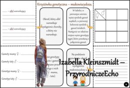Notatka okienkowa/stacja zadaniowe/notatka/notatka graficzna/karta pracy/sketchnotka „Mutacje”, „Przyczyny chorób nowotworowych”, „Przyczyny mutacji”, „Krzyżówka genetyczna – mukowiscydoza” w pdf. Biologia 8 dział „Genetyka”. Materiał wykonany na podstaw