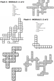 Flash 4 – Module 1 – krzyżówki