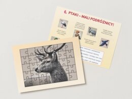 Ekologia. Zwierzęta wodne. Ssaki. Ptaki. Owady. Grzyby.