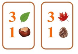 Matematyczna wiewiórka