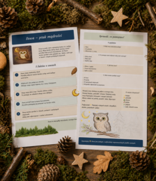 Sowa – ptak mądrości