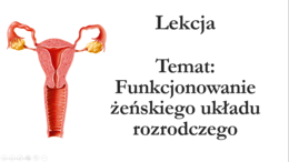 Klasa 7 - Funkcjonowanie żeńskiego układu rozrodczego - prezentacja