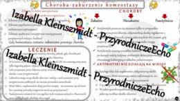 Sketchnotka - notatka „Choroba-zaburzenia homeostazy” wykonana w power point do edycji. Biologia 7; „Równowaga wewnętrzna organizmu”