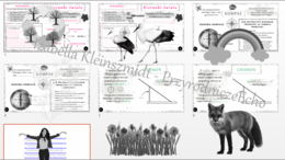 Mini zestaw do tematu „Określamy kierunki geograficzne”– 3 x sketchnotka + 3 x karta pracy + gratisowe linki do prezentacji multimedialnych niekomercyjnych wykonanych w genial.ly do indywidualnego pobrania i użycia do celów niekomercyjnych. Przyroda 4, d